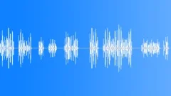Bird Chirping SoundSound Effect