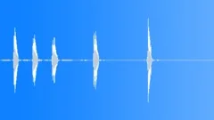 Bird Chirps 1 Sound Effect