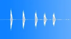 Bird Chirps 2 Sound Effect