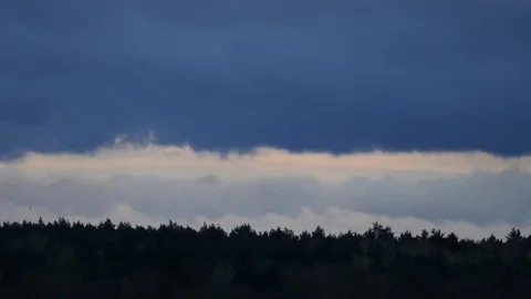 Bird chose a light side Stock Footage 75408999