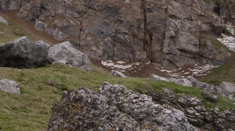 Bird cliff - Wide Slow Motion Tilt Stock Footage 52904746