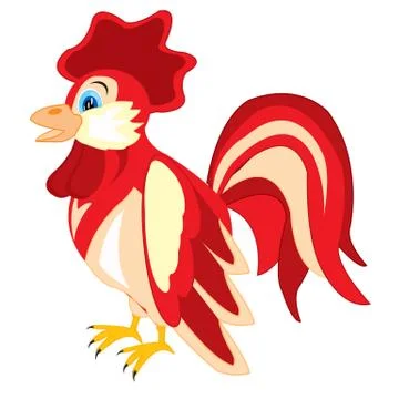 Bird cock Stock Illustration