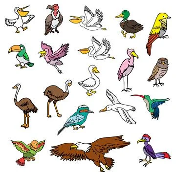 Bird collection Illustrazione stock