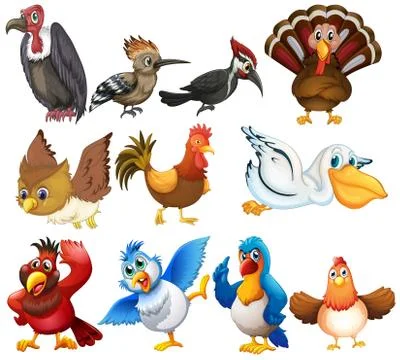 Bird collections Illustrazione stock