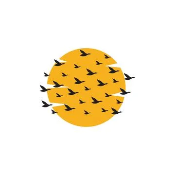 Bird colony back sunset logo symbol icon vector graphic design illustration.. Stock Illustration