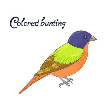 Bird colored bunting vector illustration Stock Illustration