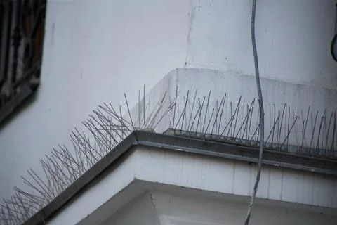 Bird control spike on the facade of a building in the city Stock Photos