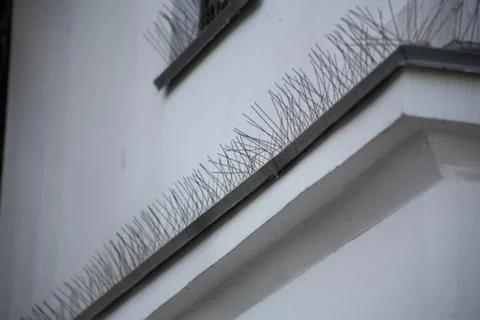 Bird control spike on the facade of a building in the city Stock Photos