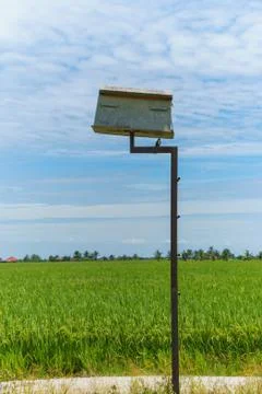 Bird cottage Stock Photos