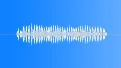 BIRD, CREATURE Sound Effect