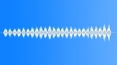 BIRD, CREATURESound Effect