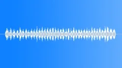 BIRD, CREATURE Sound Effect