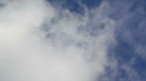 Bird crossing sky 스톡 동영상 34094738