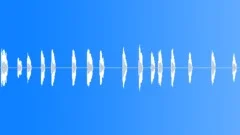 BIRD, CROW Sound Effect