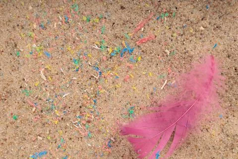 Bird deaths due to micro plastic contamination, conceptual image. Stock Photos