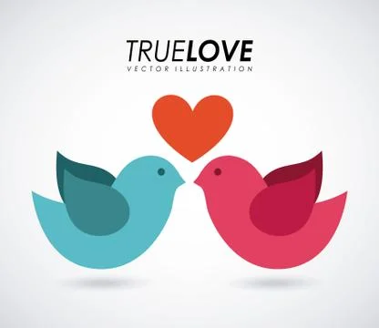 Bird design over gray background, vector illustration Ilustração Stock