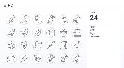 Bird Design Vector Icons featuring 24 Editable Thin Line Style Stock Illustration