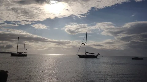 Bird diving in the ocean Video stock 77723576