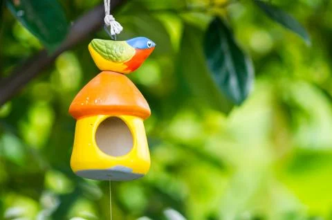 Bird doll Stock Photos