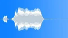 BIRD DRAKE UNKNOWN HONK01 Sound Effect