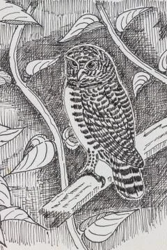 Bird drawing Stock Photos