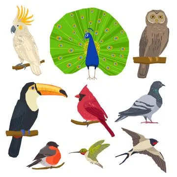 Bird Drawn Icon Set Stock Illustration