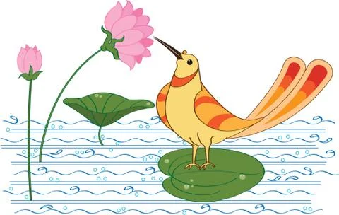 Bird drinking nectar (sugar water) from lotus flower Stock Illustration