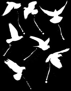 Bird droppers Stock Illustration