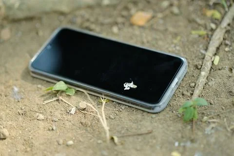 Bird dropping on a smartphone screen. Bird poop stain on dirty smartphone screen Stock Photos