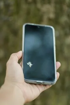 Bird dropping on a smartphone screen. Bird poop stain on dirty smartphone screen Stock Photos