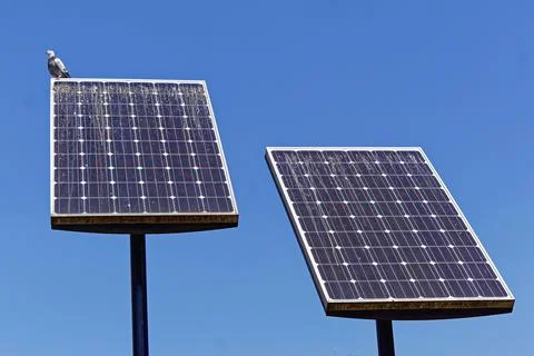 Bird dropping solar Stock Photos