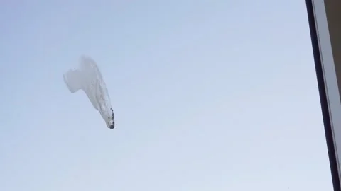 Bird dropping on a window Stock Footage 307305407