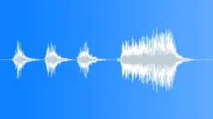 BIRD DUCK PEKING QUACK AGITATED02 Sound Effect