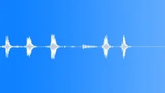 BIRD DUCK PEKING QUACK04Sound Effect