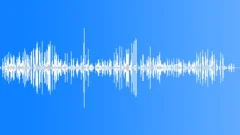 BIRD, DUCK Sound Effect