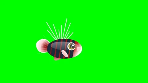 Bird Dynamic with Cartoon Isolated Green Screen Stock Video Vídeos de archivo 336959151