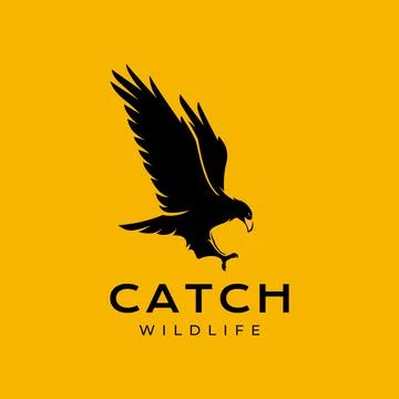 Bird eagle flying catch hunting carnivore freedom isolated mascot character.. Stock Illustration
