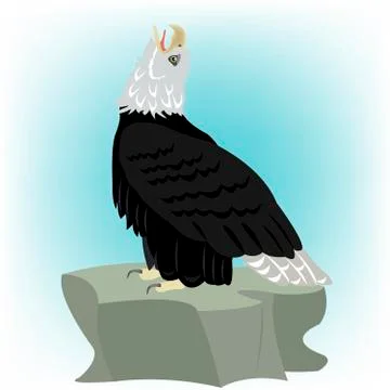 Bird eagle on stone Illustrazione stock