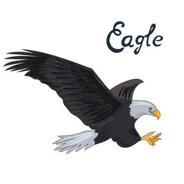 Bird eagle vector illustration Stock Illustration