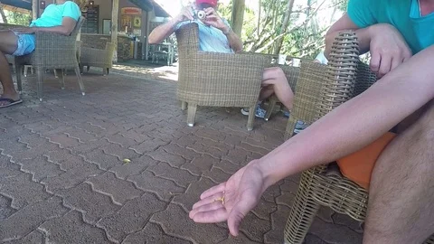 Bird eating of hand at seven colored earth in mauritius 動画素材 89943619