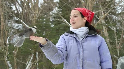 Bird eats from girls hand Stock Footage 21736852