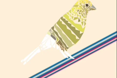 Bird effect design footage Stock Footage 113357744