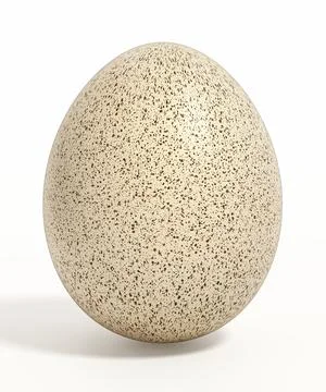 Bird egg isolated on white background. 3D illustration Illustrazione stock