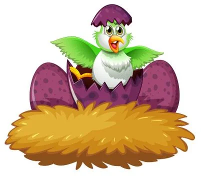 Bird in the egg on the nest Stock Illustration