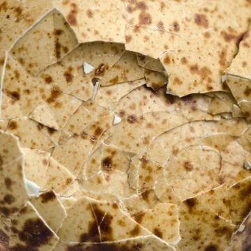 Bird egg shell texture Foto stock