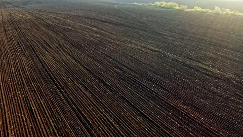 Bird eye camera jpging over brown plowed earth of agricultural field on sunny Stock Footage 107715402