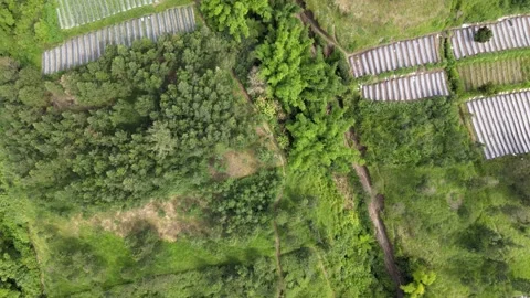 Bird Eye Shoot of Volcano Slope Video stock 149856719