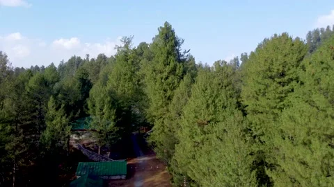 Bird eye vie of forest with huts in pakistan Stock Footage 204597705