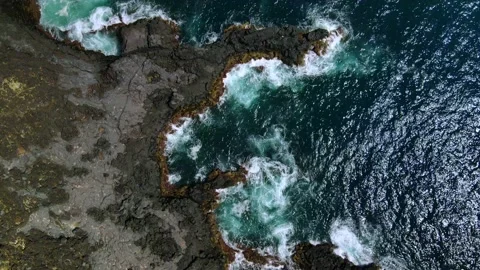 Bird-eye view of beautiful black lava rocky coastline. Stock Footage 224502844