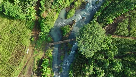 Bird Eye View a Beautiful River Flow with Bridge and Lush Vegetation Stock Footage 309915894